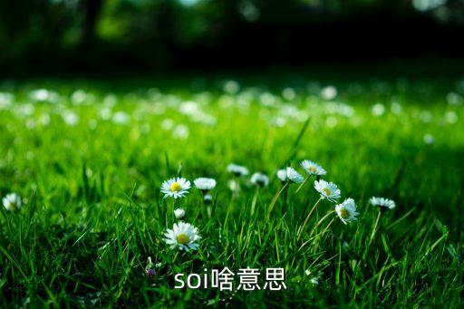 soi啥意思