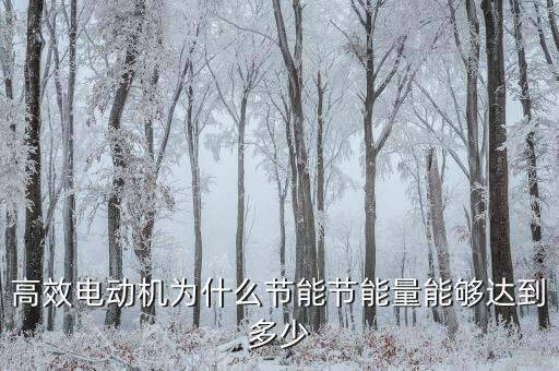 高效電動(dòng)機(jī)為什么節(jié)能節(jié)能量能夠達(dá)到多少