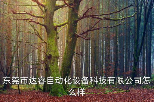 東莞市達(dá)睿自動化設(shè)備科技有限公司怎么樣