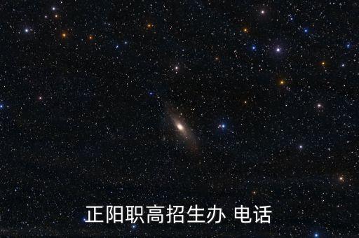 正陽職高招生辦 電話