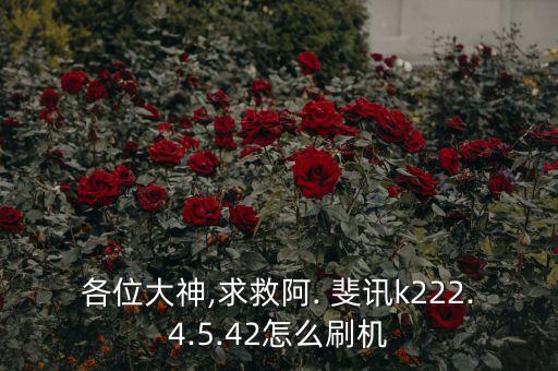 各位大神,求救阿. 斐訊k222.4.5.42怎么刷機(jī)