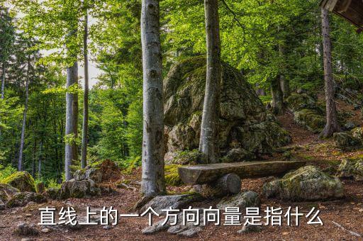 直線上的一個方向向量是指什么