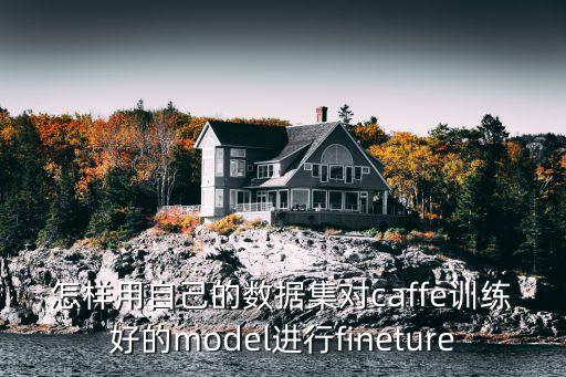 怎樣用自己的數(shù)據(jù)集對caffe訓(xùn)練好的model進(jìn)行fineture
