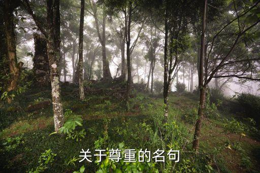關(guān)于尊重的名句