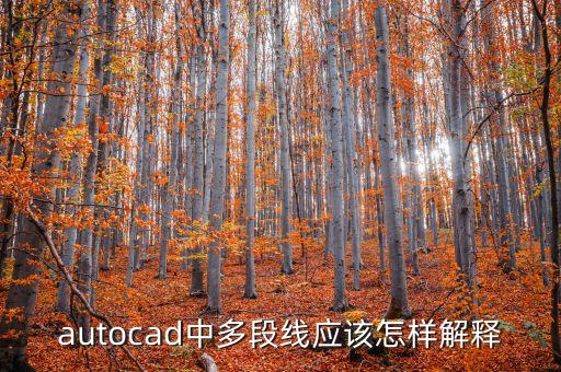 多段線，cad多段線是什么