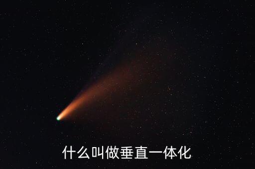 什么叫做垂直一體化
