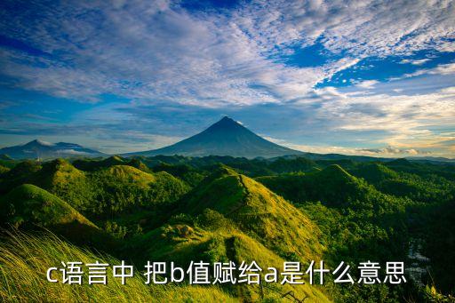 c語言中 把b值賦給a是什么意思