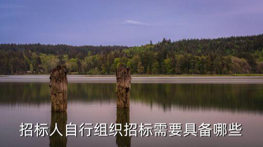 自組織，請(qǐng)問(wèn)學(xué)生會(huì)和團(tuán)委哪個(gè)好