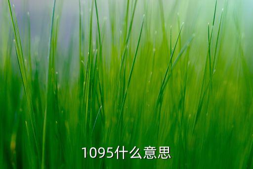 1095什么意思