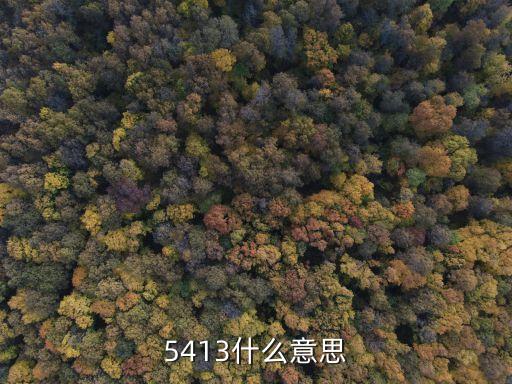 5413什么意思