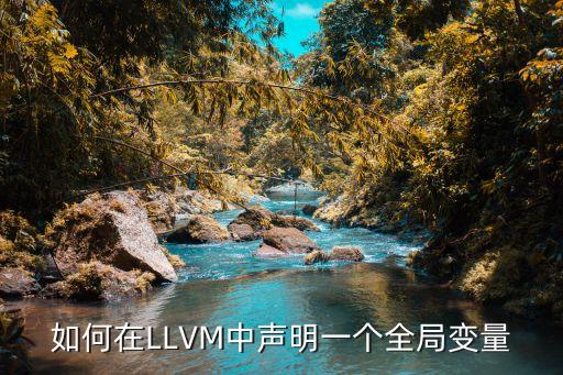 LLVM，LLVM在Windows和Linux下哪些IDE支持它