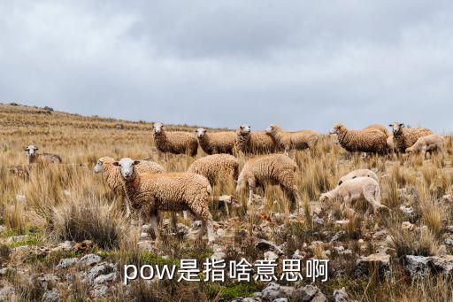 pow，pow是指啥意思啊