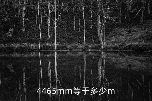 4465，4465mm等于多少m
