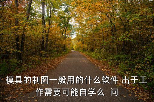 模具的制圖一般用的什么軟件 出于工作需要可能自學(xué)么  問(wèn)