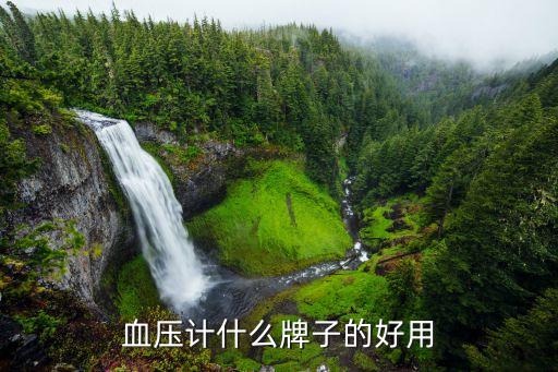 血壓計(jì)什么牌子的好用