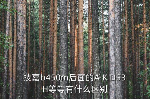 技嘉b450m后面的A K DS3H等等有什么區(qū)別