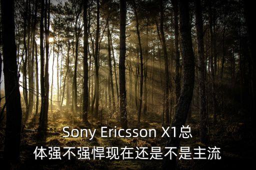 Sony Ericsson X1總體強(qiáng)不強(qiáng)悍現(xiàn)在還是不是主流