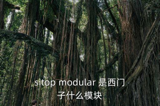 sitop modular 是西門子什么模塊