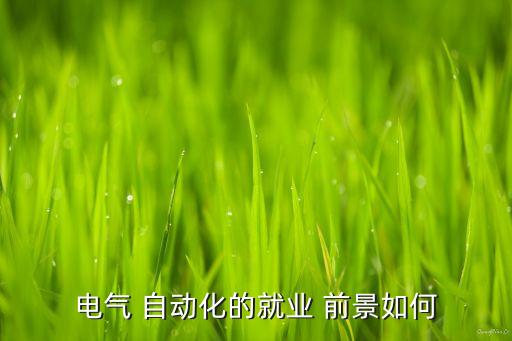 電氣 自動化的就業(yè) 前景如何