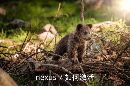 nexus 7 如何激活