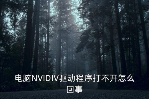 電腦NVIDIV驅(qū)動程序打不開怎么回事