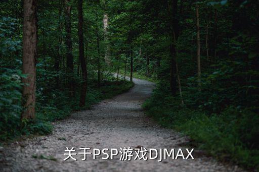 關(guān)于PSP游戲DJMAX