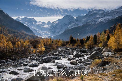 什么是代碼，什么是電腦代碼
