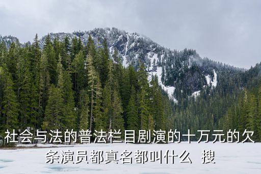 社會(huì)與法的普法欄目劇演的十萬元的欠條演員都真名都叫什么  搜