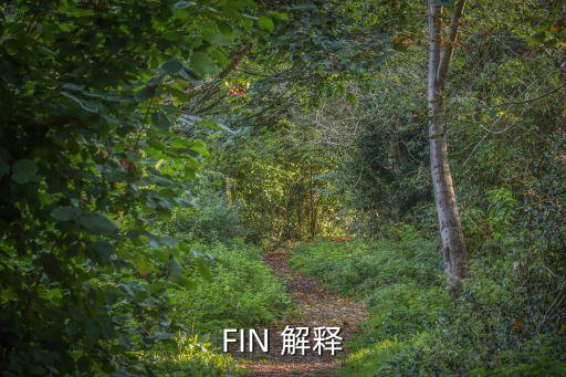 FIN 解釋