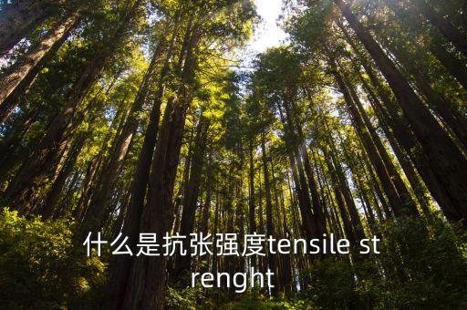 什么是抗張強(qiáng)度tensile strenght