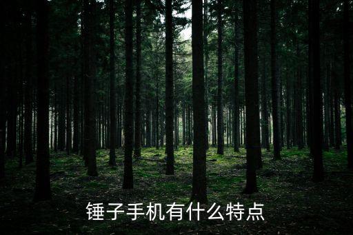 錘子手機，錘子手機是哪個國家的品牌