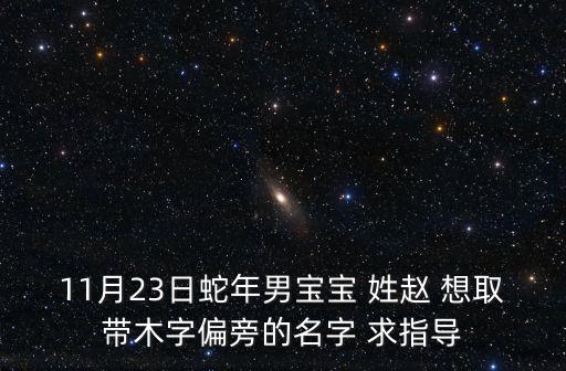 11月23日蛇年男寶寶 姓趙 想取帶木字偏旁的名字 求指導(dǎo)