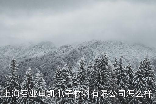 上海召業(yè)申凱電子材料有限公司怎么樣
