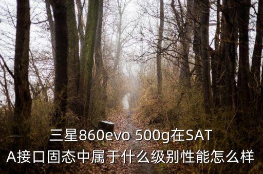 三星860evo 500g在SATA接口固態(tài)中屬于什么級(jí)別性能怎么樣