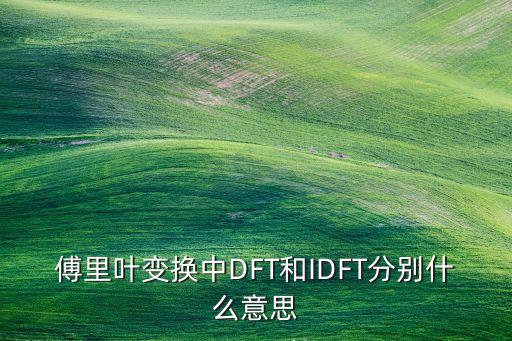 傅里葉變換中DFT和IDFT分別什么意思