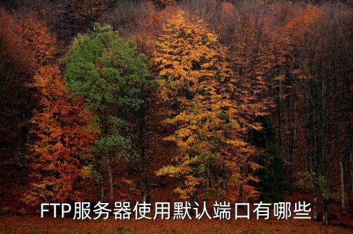 FTP服務(wù)器使用默認端口有哪些