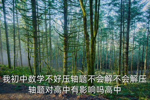 我初中數(shù)學(xué)不好壓軸題不會解不會解壓軸題對高中有影響嗎高中