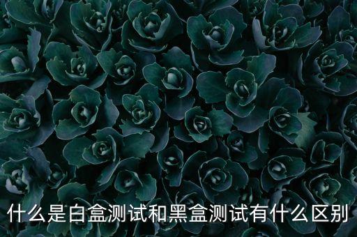 黑盒白盒測(cè)試，什么是黑盒測(cè)試與白盒測(cè)試