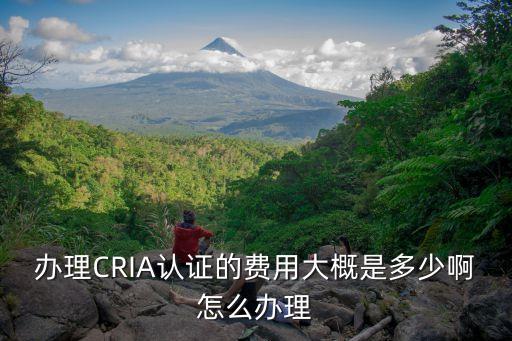 cria，食品出口尼日尼亞需要辦理CRIA認(rèn)證嗎