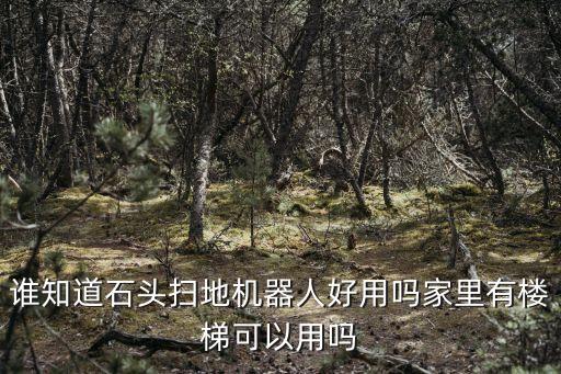 誰知道石頭掃地機(jī)器人好用嗎家里有樓梯可以用嗎