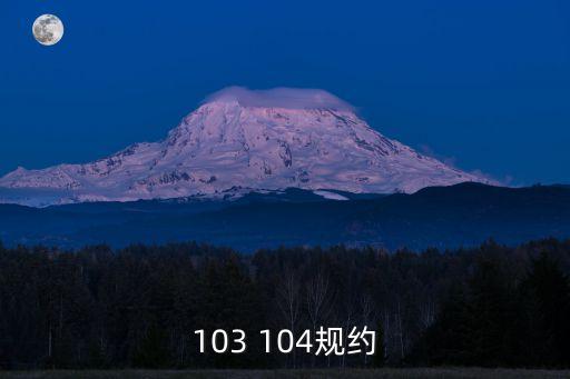 103 104規(guī)約