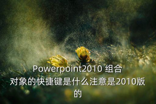 Powerpoint2010 組合對(duì)象的快捷鍵是什么注意是2010版的