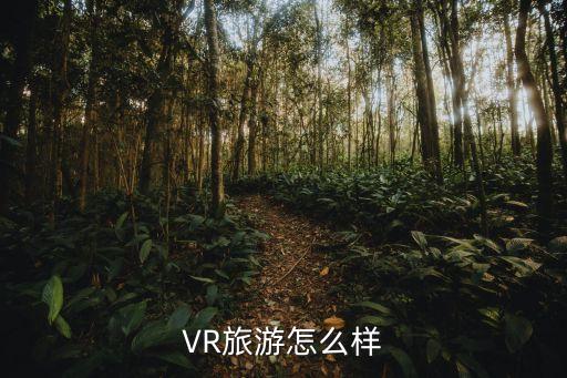 VR旅游，VR旅游是什么現(xiàn)在通過什么方式可以體驗(yàn)