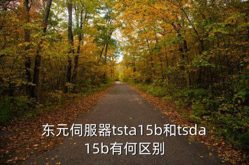 東元伺服器tsta15b和tsda15b有何區(qū)別