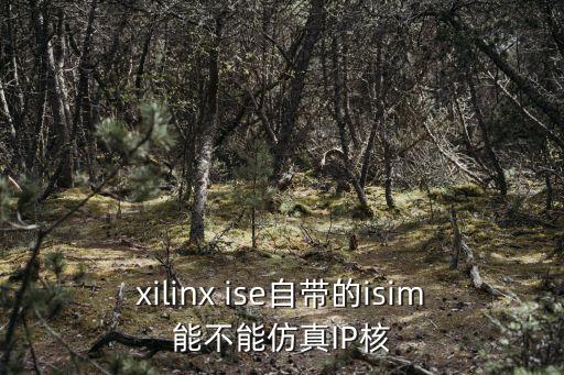 xilinx ise自帶的isim能不能仿真IP核