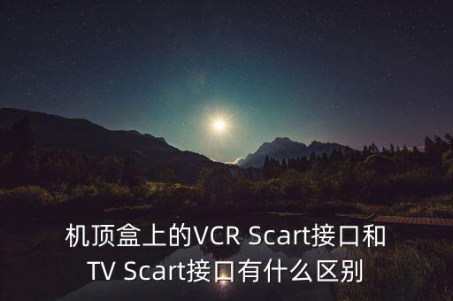 SCART，scart的中文意思是什么