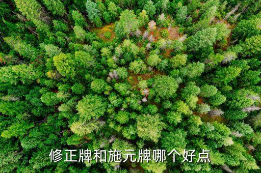 施元，修正牌和施元牌哪個好點