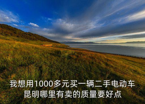我想用1000多元買一輛二手電動(dòng)車?yán)ッ髂睦镉匈u的質(zhì)量要好點(diǎn)