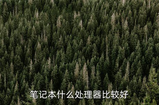 筆記本電腦處理器，筆記本電腦什么處理器好