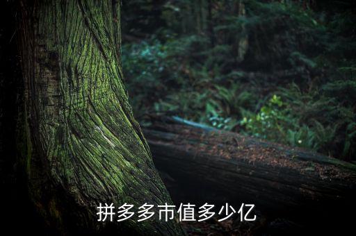 拼多多市值多少億